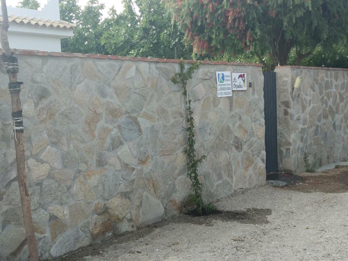 La Orquidea Morada Villa Conil De La Frontera Exterior foto